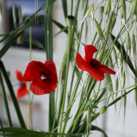 Летний дом Casa San Martino