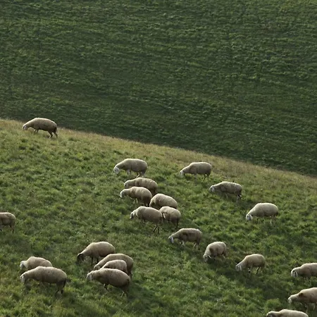Casa San Martino Летний дом Атри