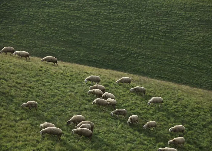 Casa San Martino 乡村民宿 阿特里